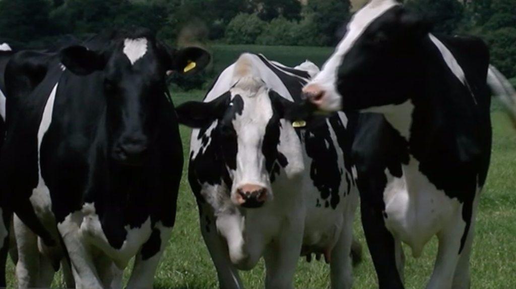 One in 10 dairy farms have closed in England and Wales over the last three years, but some farms are taking matters into their own hands by selling milk through vending machines.