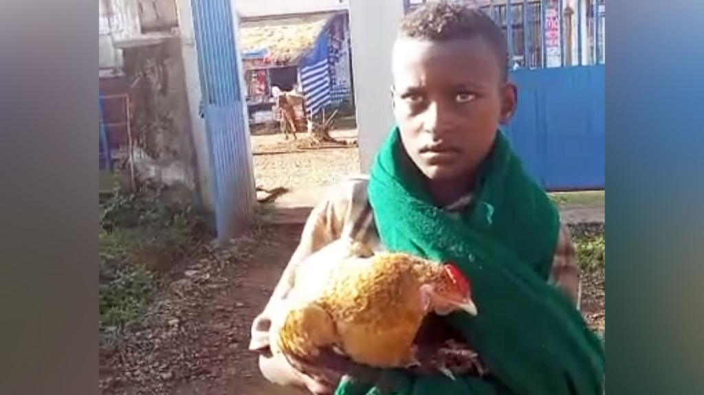 Boy Tries to Help His Sick Chicken