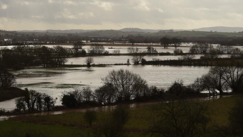 Flooded fields