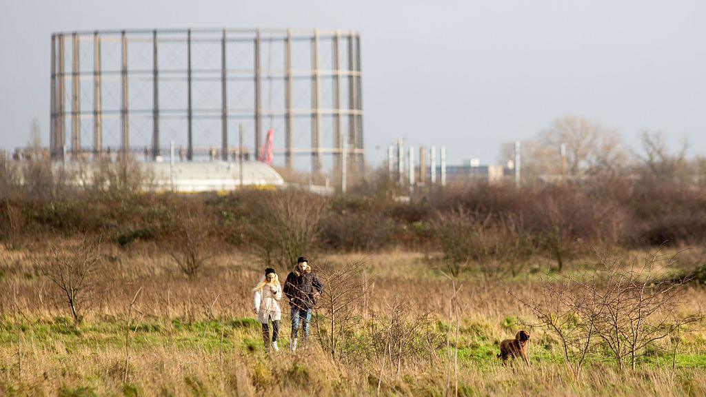 Brownfield land site, showing overgrown grass and a half-built building, in the background. A man and woman are walking a dog in the foreground 