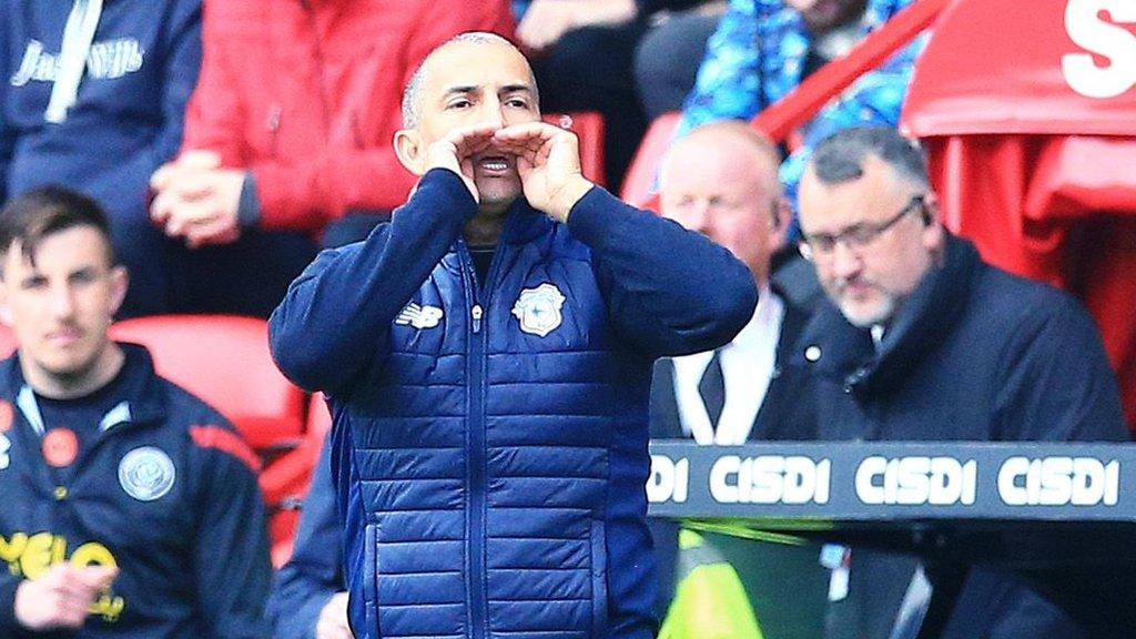 Cardiff City manager Sabri Lamouchi