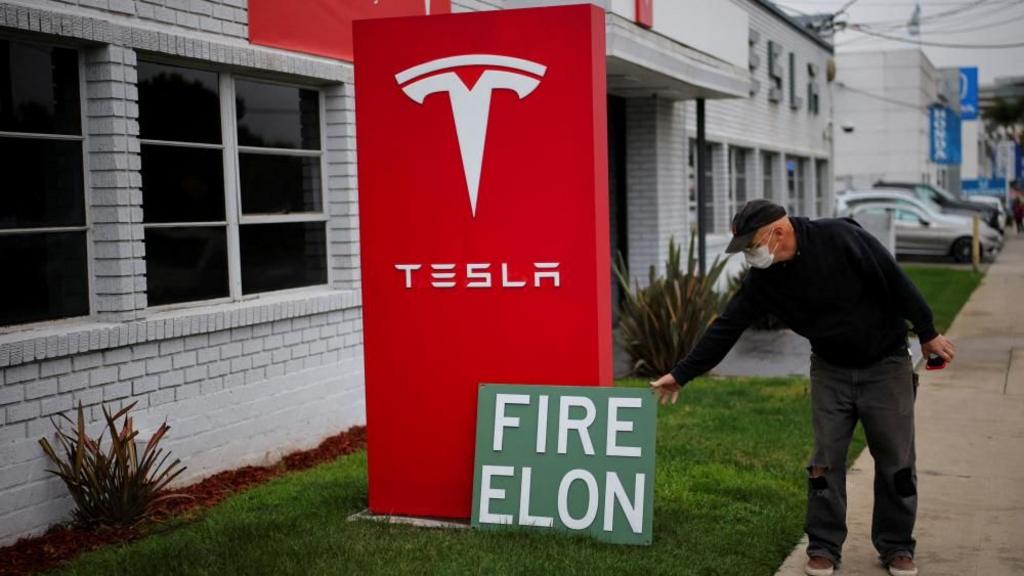 Tesla profits plunge amid Musk backlash