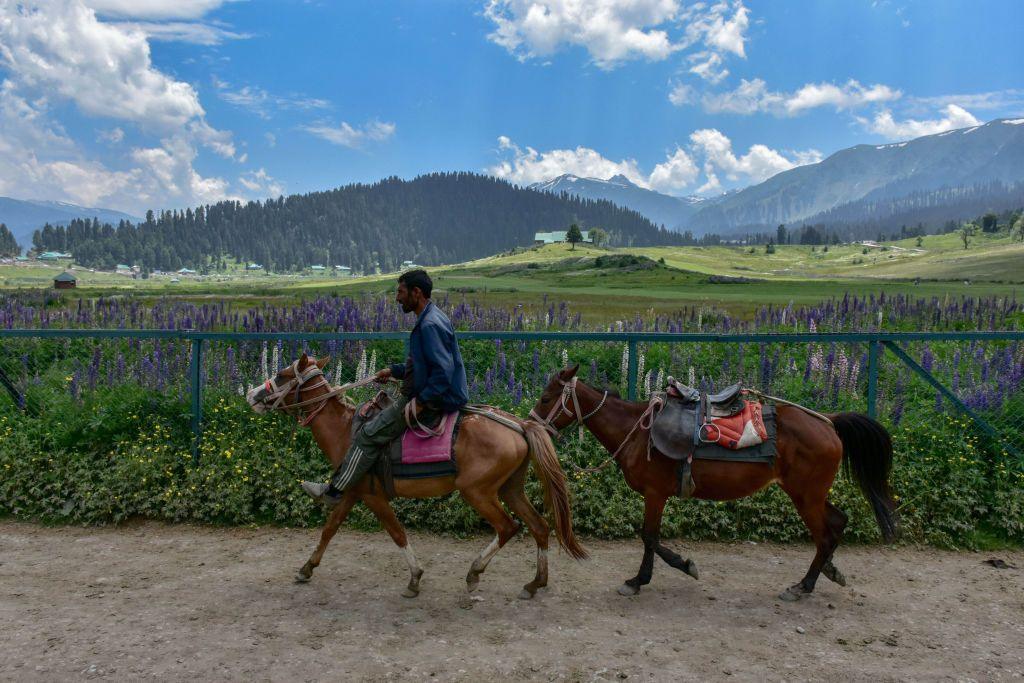  A man rides his horse during a sunny and hot summer day in Gulmarg, a tourist destination about 55kms from Srinagar, the summer capital of Jammu and Kashmir. 