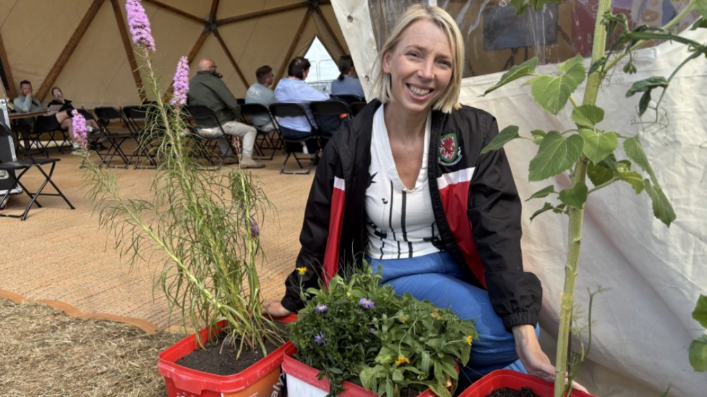 Mari Roberts yn cwrcwd gyda phlanhigion amrywiol mewn potiau o flaen un o bebyll Maes yr Eisteddfod