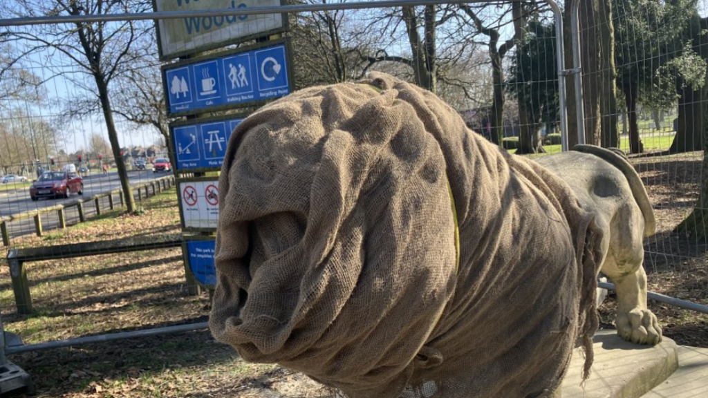 A stone statue of a lion, with its front half covered in fabric, stands in a green space.