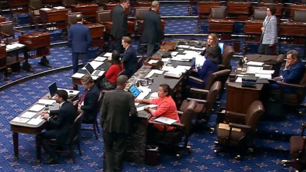 US Senators vote