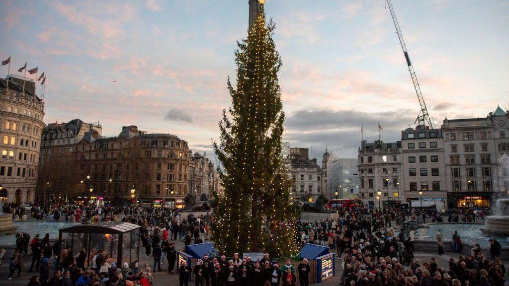 A group of carolers sing Christmas carols by the Norwegian Christmas tree at the Trafalgar Square, which has been covered from top to bottom with lights. 