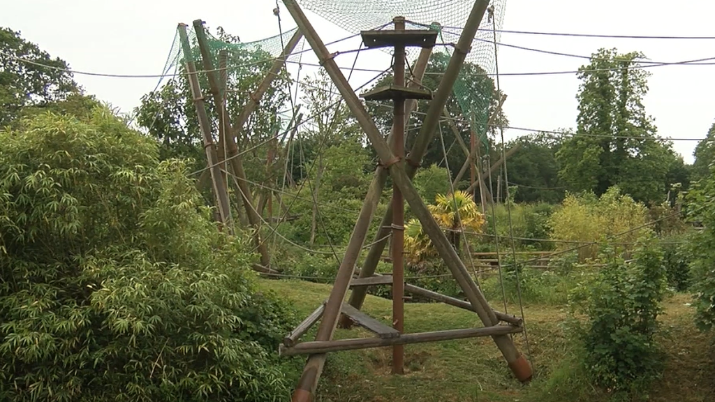 An enclosure at Jersey Zoo