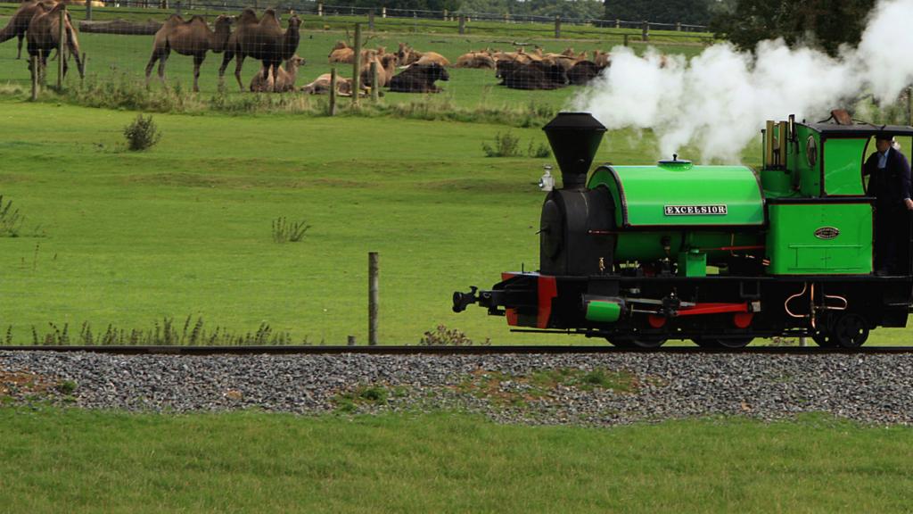 Whipsnade Zoo train