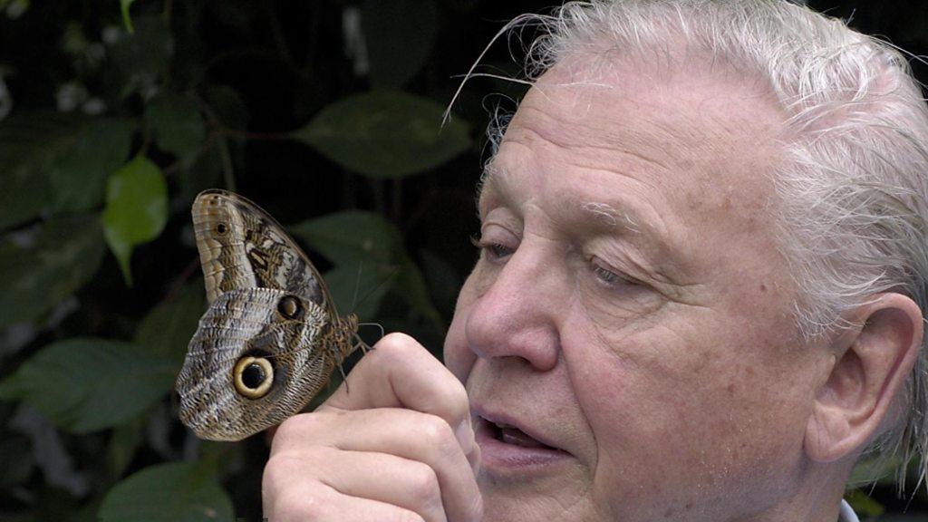 Attenborough