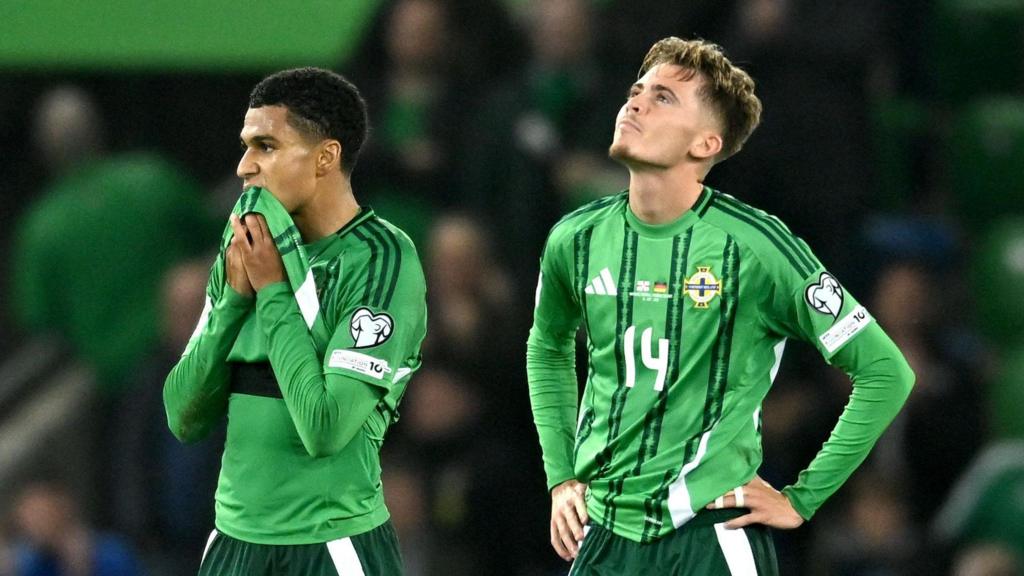 إيرلندا الشمالية مصممة رغم الخسارة المخيبة أمام ألمانيا