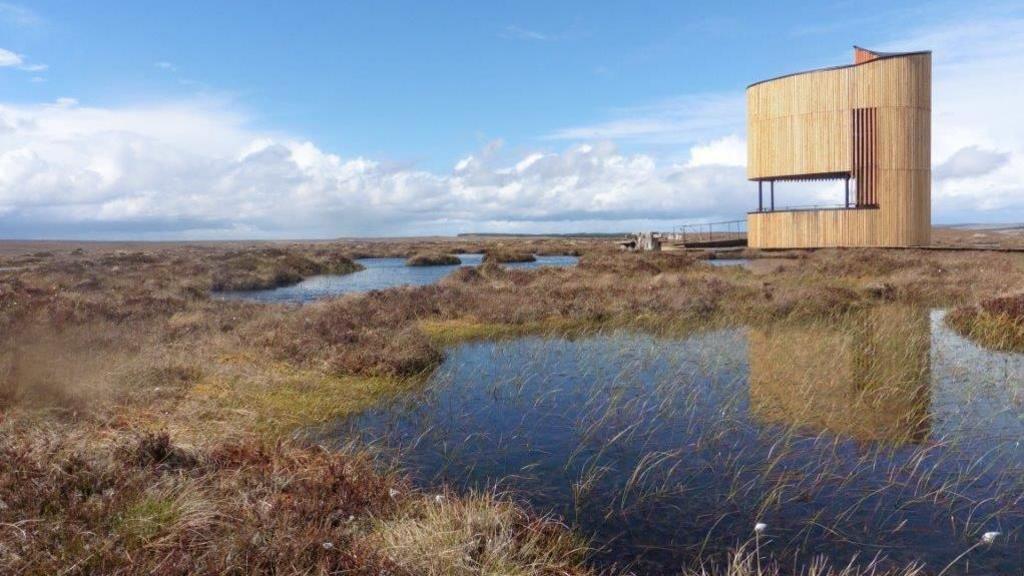 An animal lookout in the Flow Country