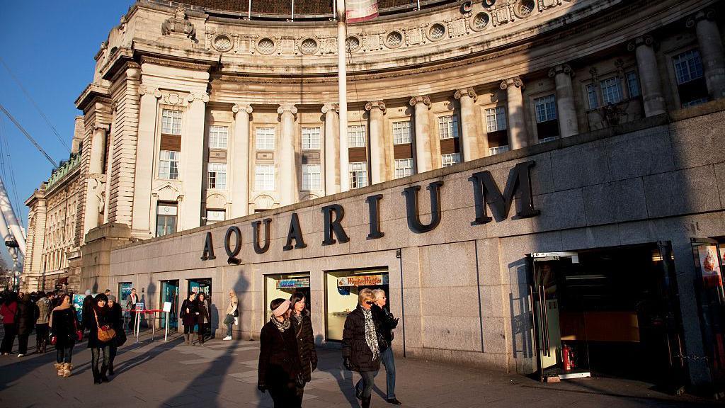 Tourists walking past a building with the word Aquarium on the outside