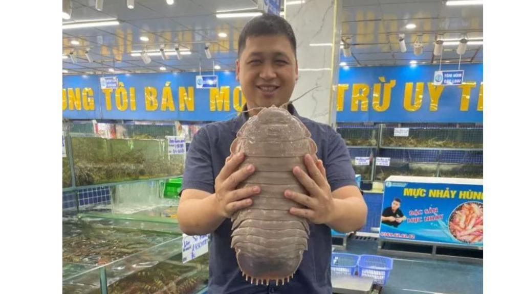 Dr. Nguyen Thanh Son holding up a giant specimen of giant isopod (B. Jamesi) in October 2024.