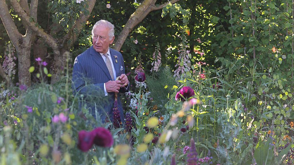 King Charles at Chelsea Flower show. 
