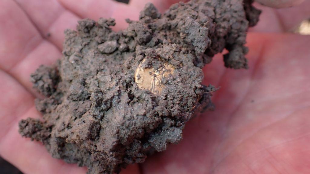 A gold coin in a block of mud