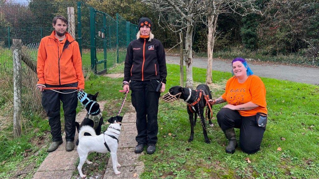 Three volunteers stood with three dogs outside one of the dog paddocks. On the left is a man wearing an orange coat and holding a the lead to a black dog with a blue muzzle. In the middle is a woman wearing all black, with an orange zip and  hat holding a white and black dog on a lead. On the right is a woman knelt on one knee wearing an orange top, with blue and purple hair holding a black dog with a brown muzzle