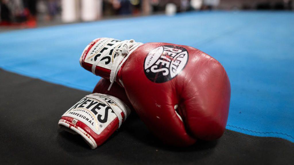 Red boxing gloves on a blue boxing ring canvas