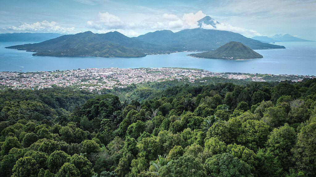 Trees in the foreground, a city in the midground, and ocean and an island in the background