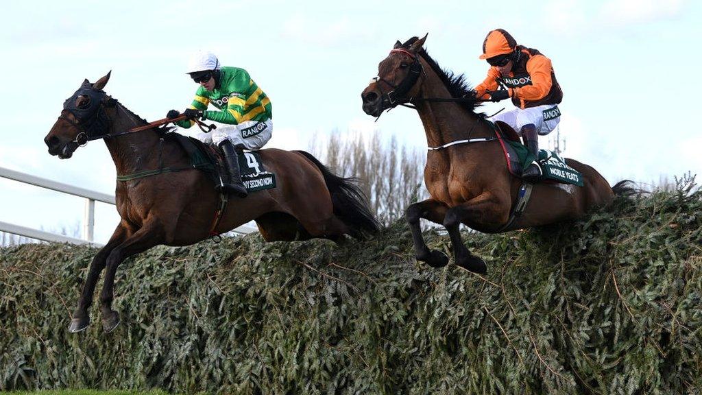 Any Second Now and Noble Yeats in last year's Grand National