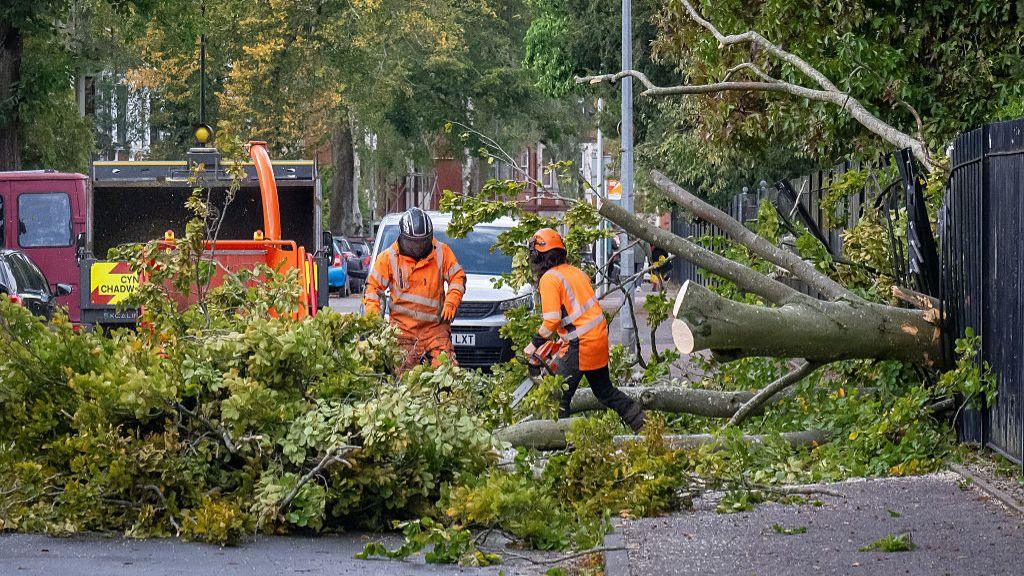 Trees brought down by Storm Amy on road in Cardiff