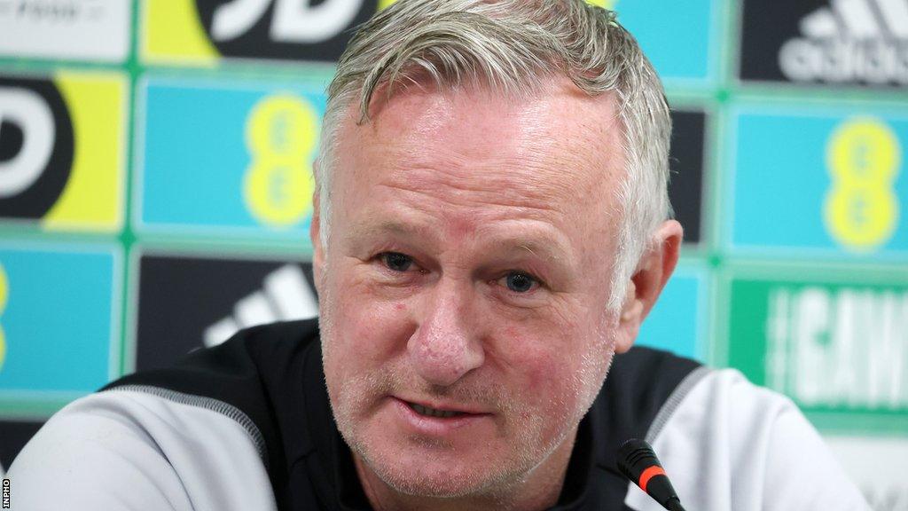 Northern Ireland manager Michael O'Neill