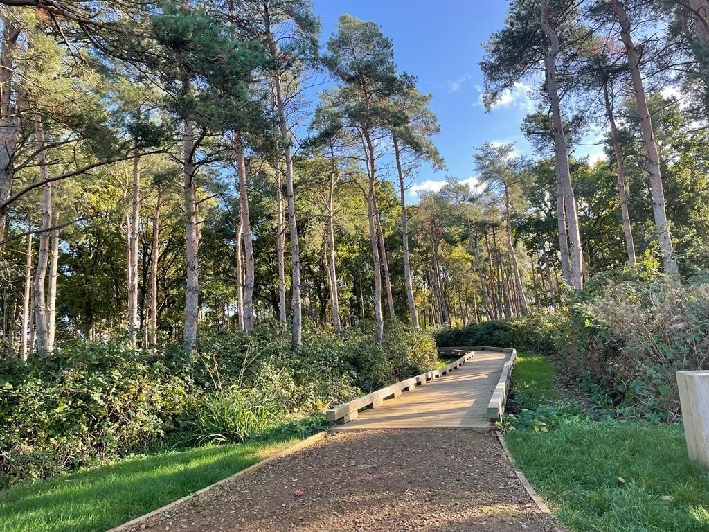 Path through the forest at Graven Hill