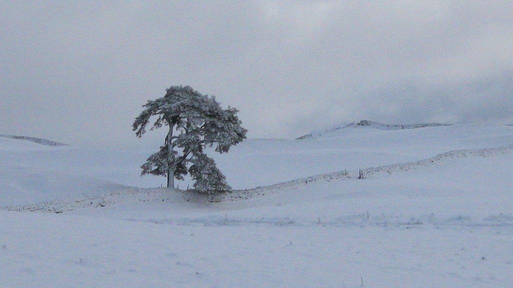 Moniaive, Dumfries and Galloway