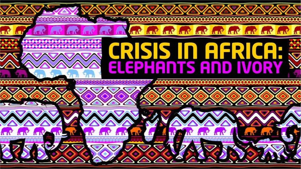 Crisis in Africa