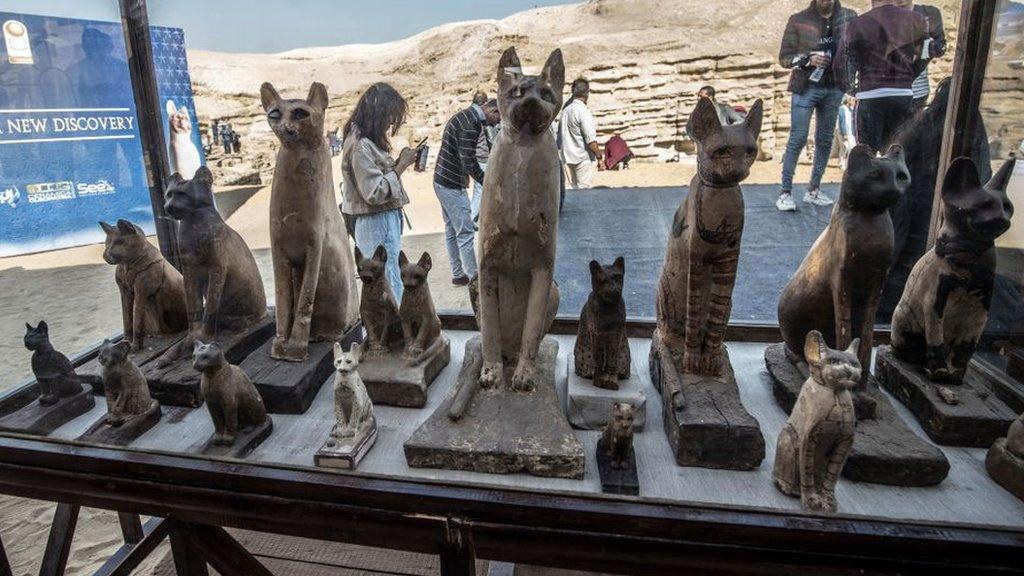 cat-statues.