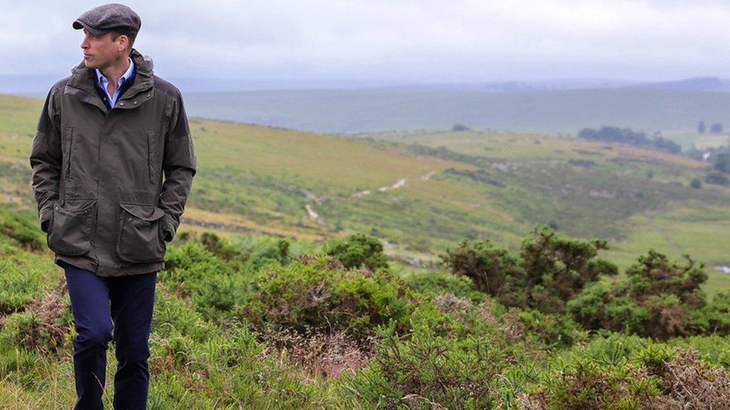 Prince William at Wistman's Wood, on Dartmoor