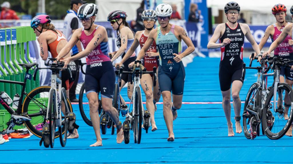 World Triathlon Championship Series Yokohama