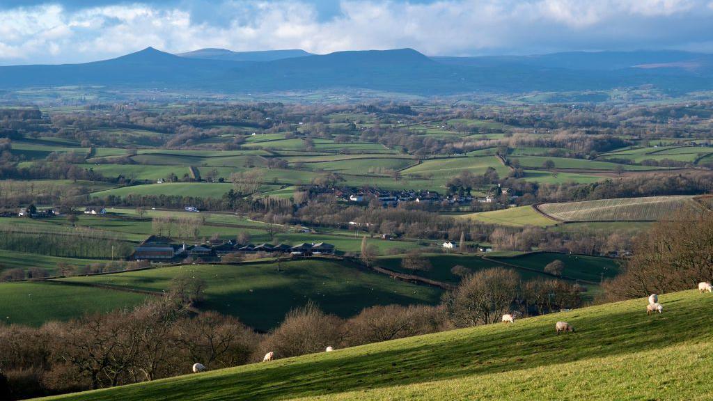 Landscape view looking out across Monmouthshire farmland from Mitchel Troy.  Sheep are grazing in the foreground.