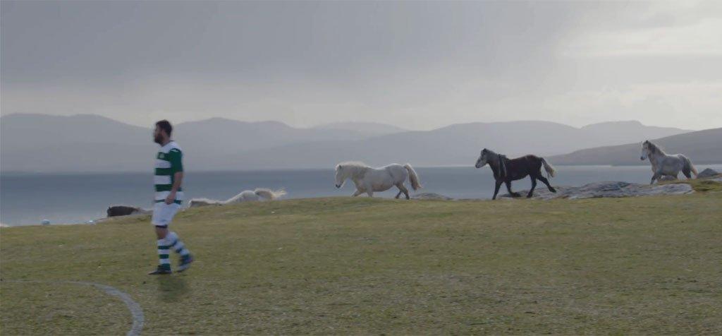 Ponies at Eriskay FC's pitch