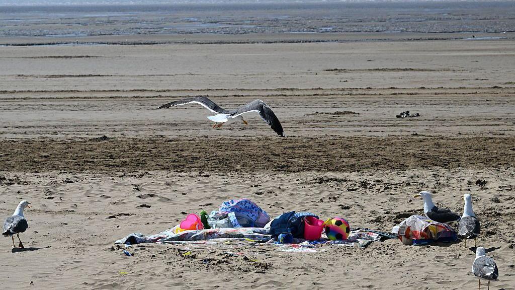 A few seagulls are surrounding towels and toys on a sandy beach.