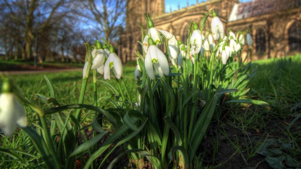 BBC Local Live: Leicestershire on Tuesday 23 February 2016 - BBC News