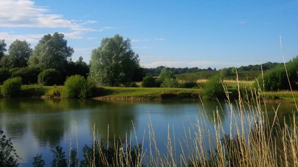 Pastoral scene at Cockfield