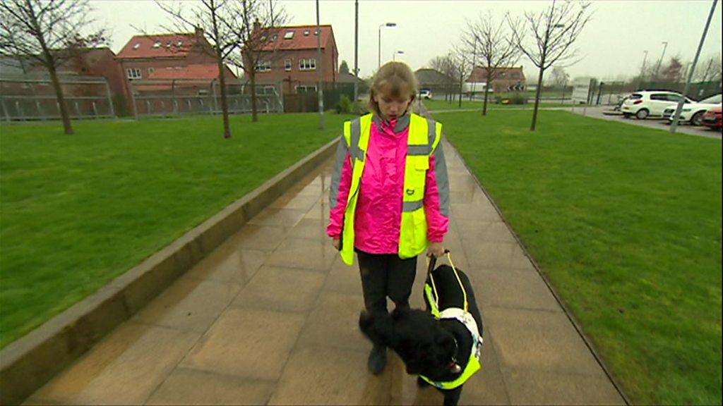 Alice and her guide dog Billy