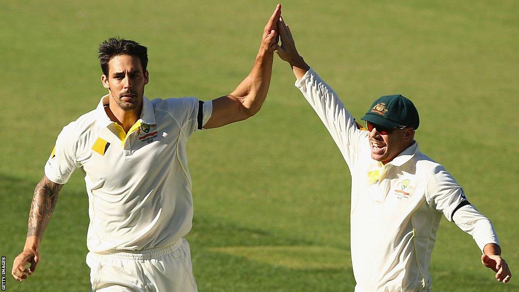 Mitchell Johnson (left) and David Warner (right)