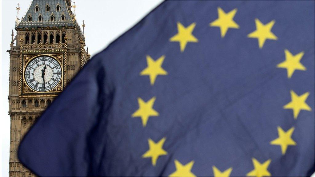 Europe flag outside parliament