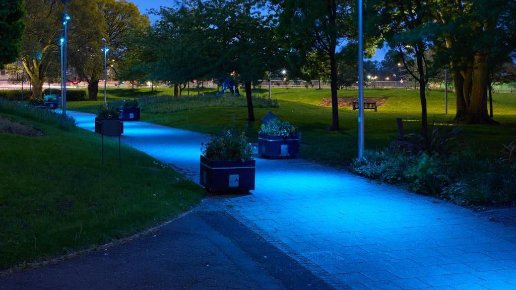 A footpath in a park lit up in sky blue lighting. Benches, trees and lamposts can be seen in the background.
