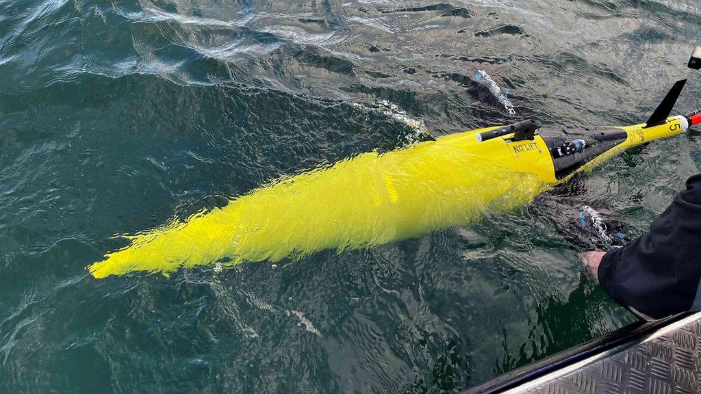 Glider in water