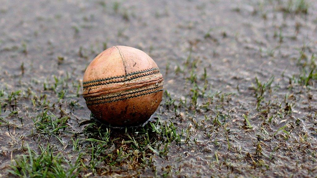 Cricket puddle