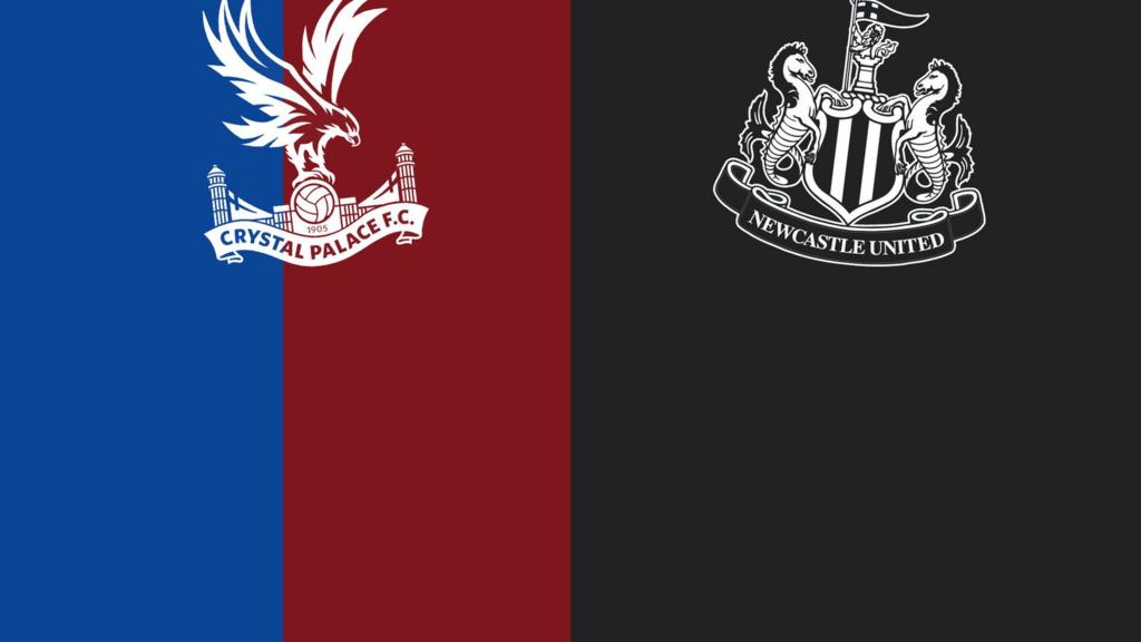 Crystal Palace v Newcastle United