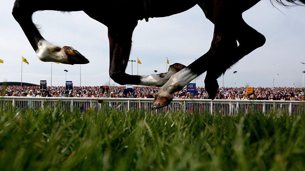 Grand National at Aintree