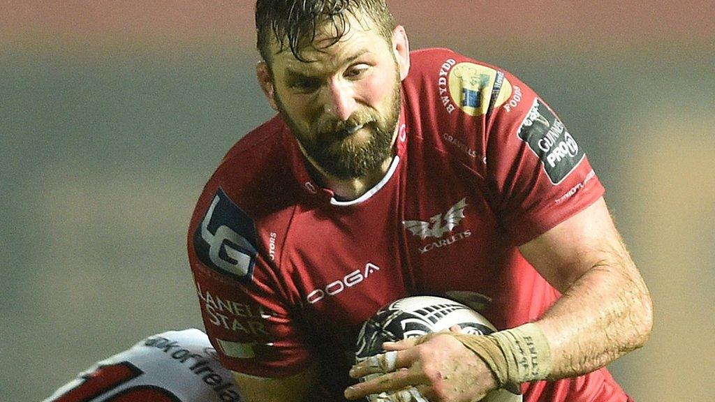 John Barclay in action for Scarlets