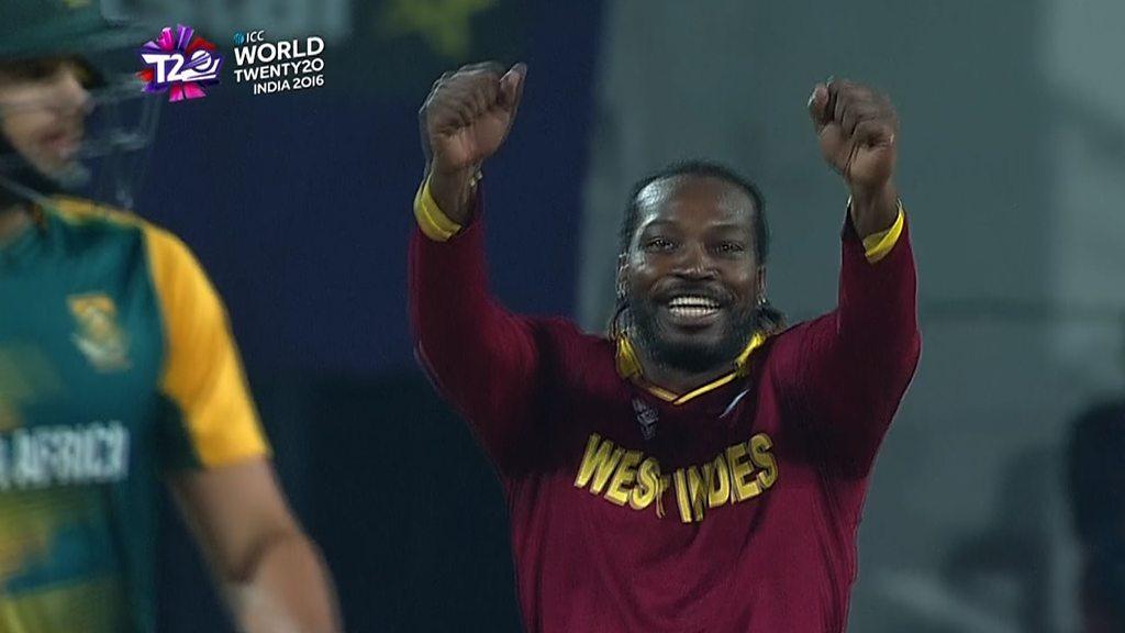 Chris Gayle leads Windes' wicket celebrations