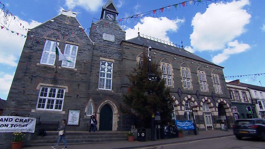 Cardigan Christmas tree in spring