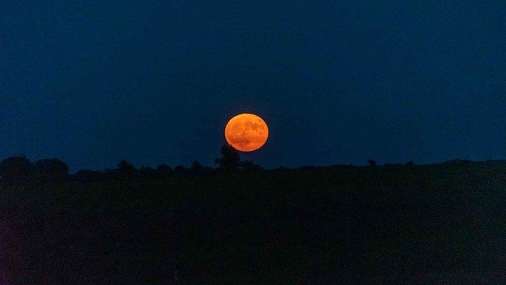 A red glowing moon over the New Forest