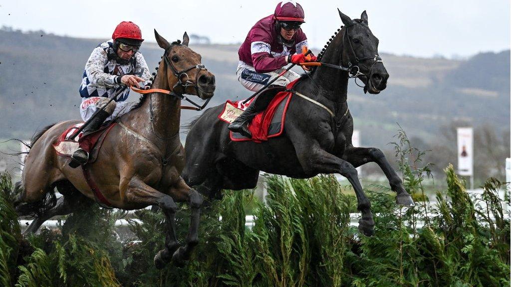 Cross Country Chase at Cheltenham